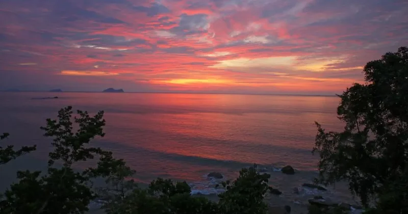 АТОР: Россияне поставили рекорд по визитам в одну страну