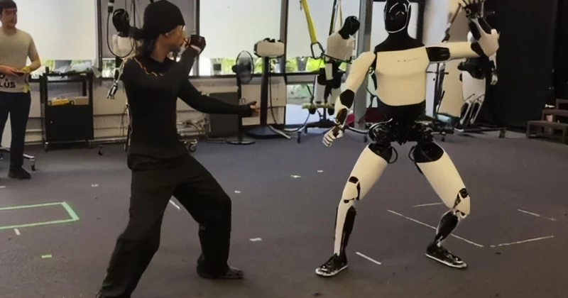 Tesla свернет производство моделей S и X, перенаправит ресурсы на человекоподобных роботов