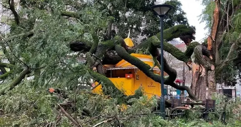 Qasırğa, külək və qar Avropada problemlər yaradıb