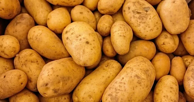 Azərbaycan bazarında texniki kartof təhlükəsi: “İnsan orqanizmi üçün təhlükəlidir”