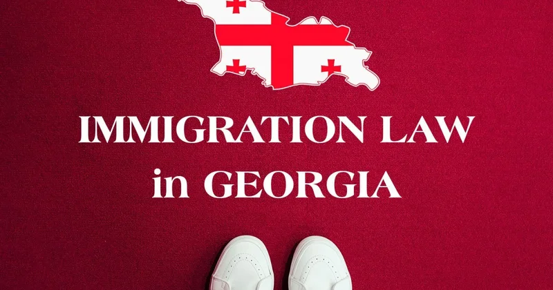 Ужесточение миграционной политики Грузии: депортации, запреты на въезд и разрешения на работу АНАЛИТИКА