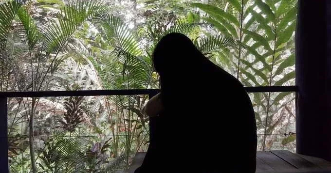 Секта на Фиджи оказалась в центре дела о торговле людьми и связях с элитой