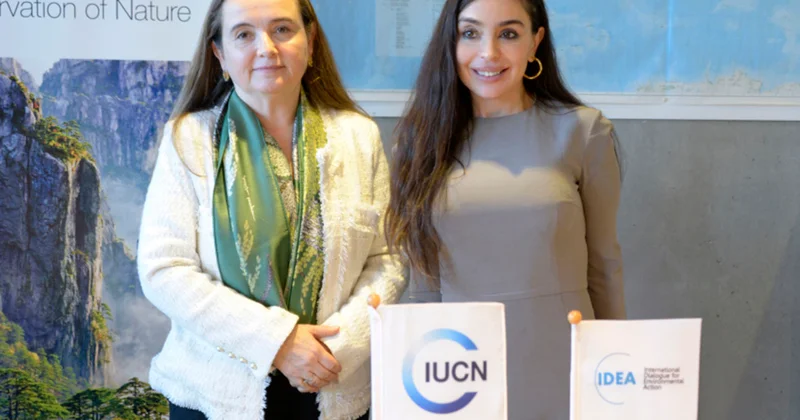 Leyla Əliyeva İsveçrədə Qretel Agilar ilə görüşdü Fotolar