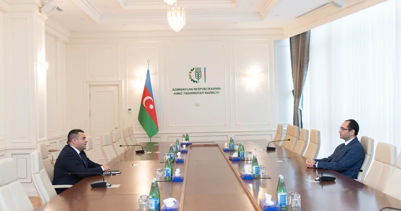 Инвестиция в будущее