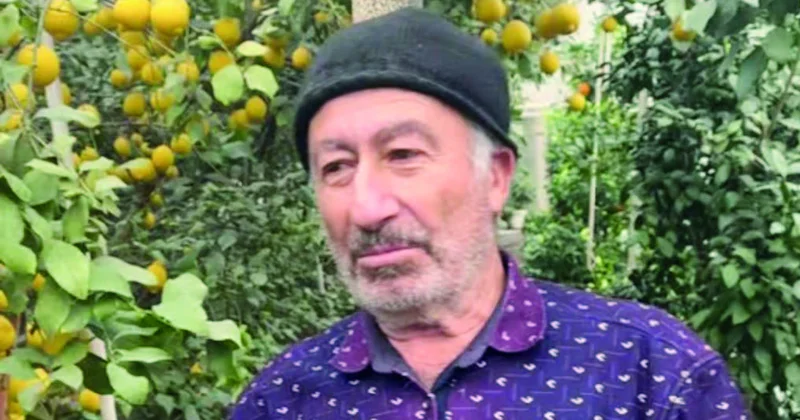 Salyan limonu: yeni ünvan, fərqli dad