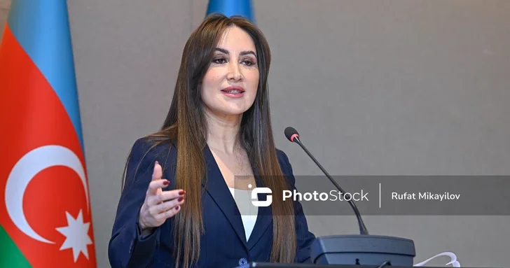 Нигяр Алимова: Муниципалитеты в Азербайджане утратили право оформлять земельные документы