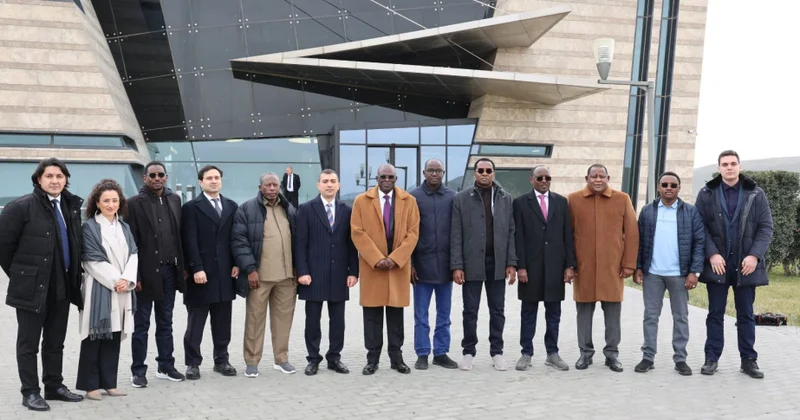 Azərbaycan və Çad peyk xidmətləri sahəsində əməkdaşlıq etməyi planlaşdırır