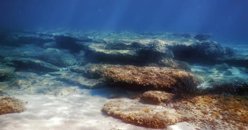 Ученые 10 лет наблюдали за дном океана: то что они увидели, их крайне встревожило