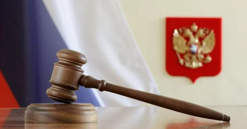 В России мужа и жену осудили за истязание и убийство ребенка