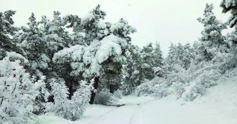 Zəngilanın qış nağılı