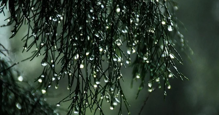 Sabaha gözlənilən hava proqnozu