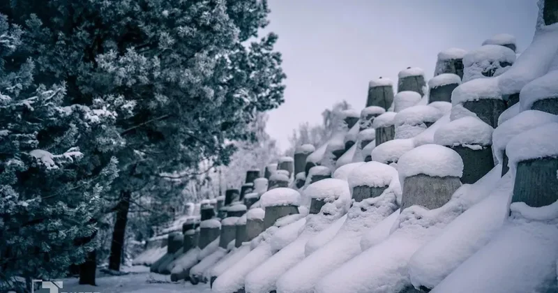 Польша строит Восточный щит для укрепления границы с РФ и Беларусью: ВИДЕО ФОТО, ВИДЕО