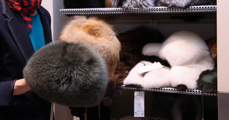 Xəz papaqlar hara getdi və niyə geri dönüş edir...