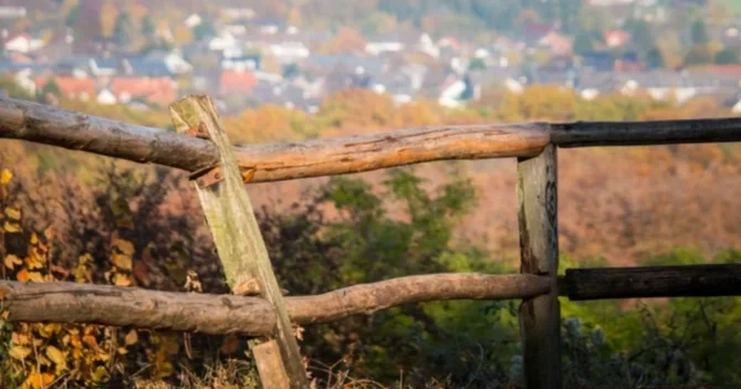 Bankda olan torpaq sahələri təcili satışa çıxarıldı QİYMƏTLƏR