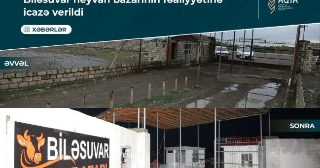 Məşhur heyvan bazarı AÇILDI