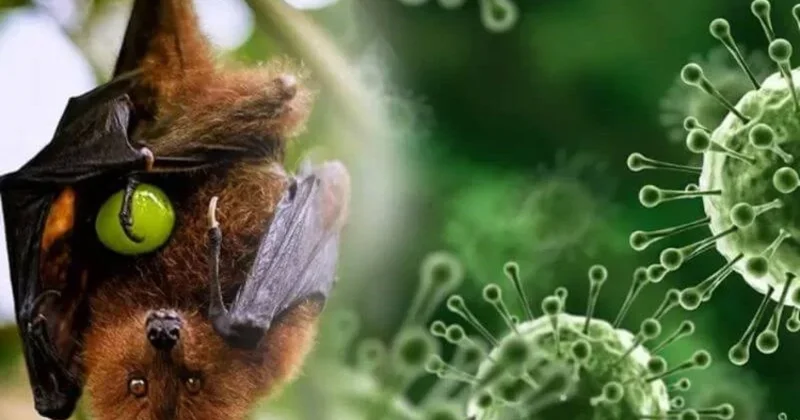 Аэропорт на Бали усилил санитарный контроль из за вируса Нипах