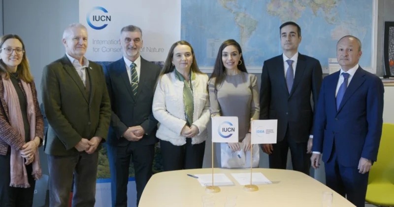 Лейла Алиева обсудила с гендиректором IUCN вызовы в сфере охраны окружающей среды Minval Politika