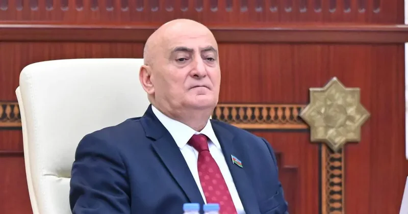 Гасымлы: Азербайджан обеспечивает защиту и сохранность немецкого историко культурного наследия