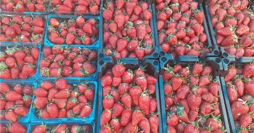 Bazarda erkən çiyələk bolluğu Sağlamlıq üçün hansı riskləri var?