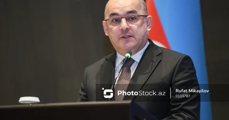 Шахин Багиров: Азербайджан сохраняет льготный порог для ввоза товаров физлицами