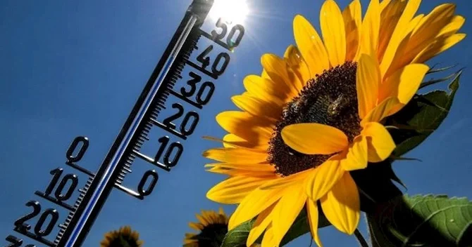 Mayda hava 35° dək yüksələcək AYLIQ PROQNOZ