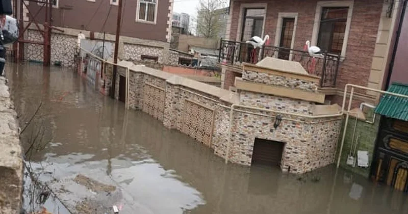 Vətəndaşların problemlərinin effektiv həllinə yönəlmiş dövlət qayğısının bariz nümunəsi RƏY