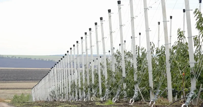Advice&Consulting: Выставка Caspian Agro 2026 возможность ознакомиться с решениями для высокоурожайных садов