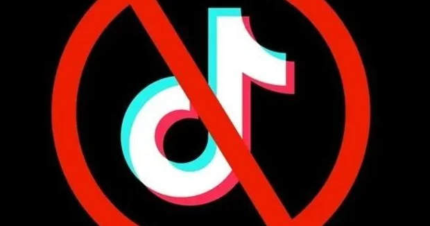 “Tiktok”da təhqir məsələsi ilə bağlı mühüm qərar
