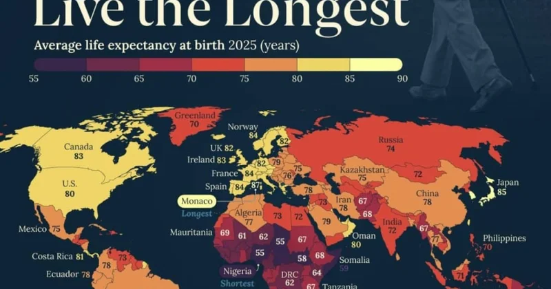 2025 ci ildə ölkələr üzrə gözlənilən ömür uzunluğu İnfoqrafika