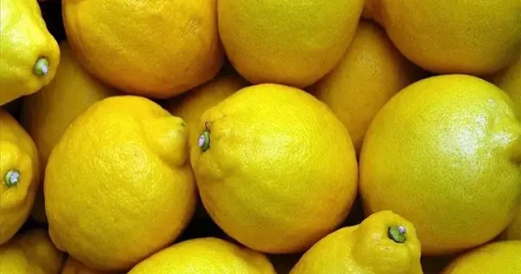 Limonu əsla belə saxlamayın Sümüklərinizi yağ kimi əridir