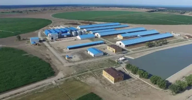 Хачмазский агропарк ликвидируется