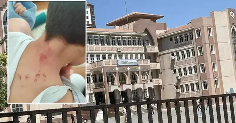 Şanlıurfada zorakılıq şagirdini döyən müəllim həbs olundu