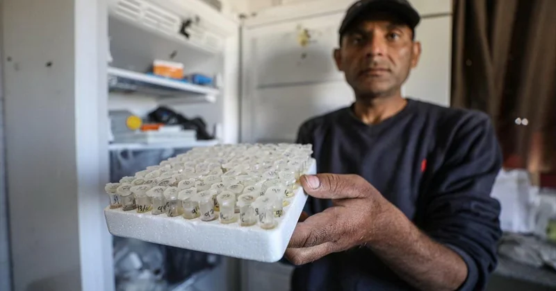 Başlamadan bitən həyatlar: Qəzzada vurulan klinikanın müəmması