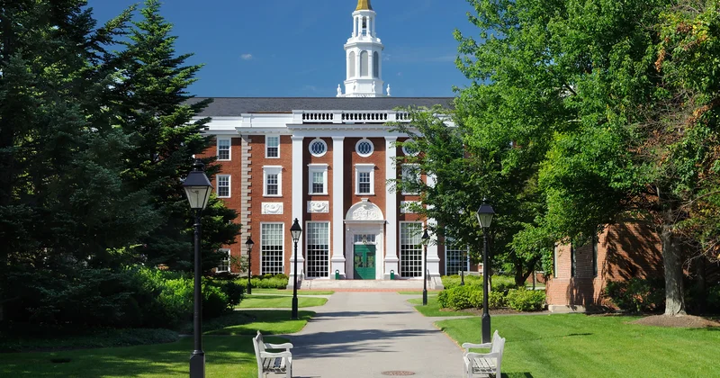 Donald Tramp : Harvard Universiteti xarici tələbələrə 15 faizlik məhdudiyyət qoymalıdır