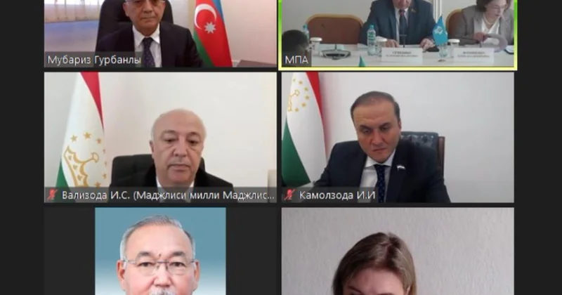 Milli Məclisin deputatları MDB PA komissiyalarının iclaslarında iştirak ediblər