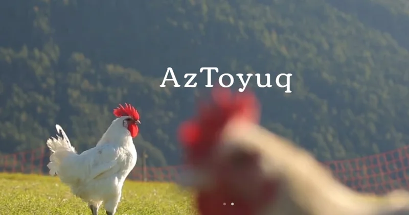 AzToyuq da vergi yoxlaması: Pozuntular aşkarlandı