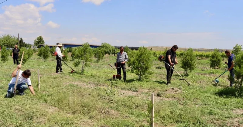 Samux Kür yolu simasını dəyişir…