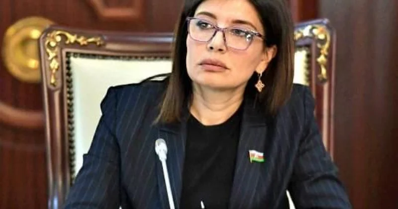 Müasir Azərbaycan enerji təhlükəsizliyinin açar ölkəsi və humanitar diplomatiyanın fəal iştirakçısıdır ŞƏRH