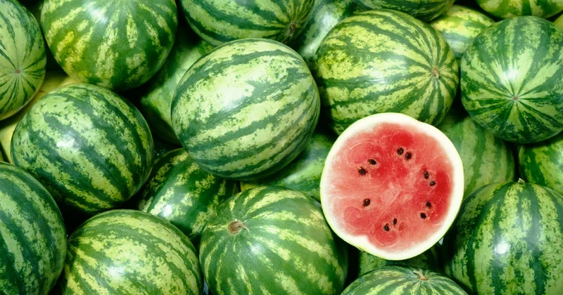 Bu aylarda qarpız yemək olar?