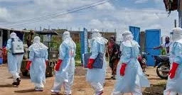 Эбола наступает: в Конго зафиксировано более 900 случаев заражения смертоносным вирусом