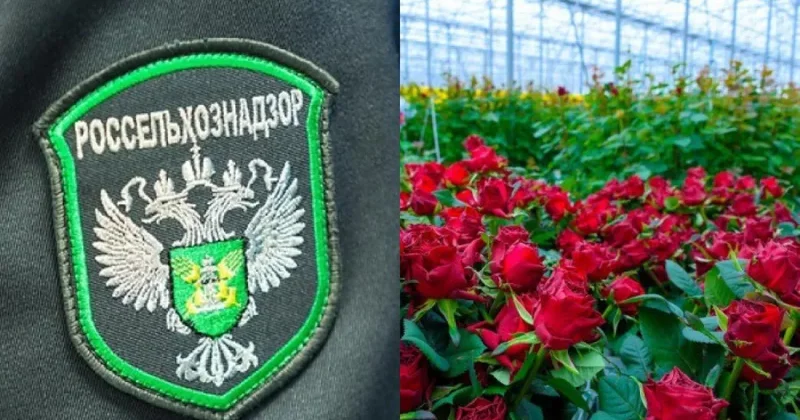 Россельхознадзор усомнился в компетентности Минэкономики Армении