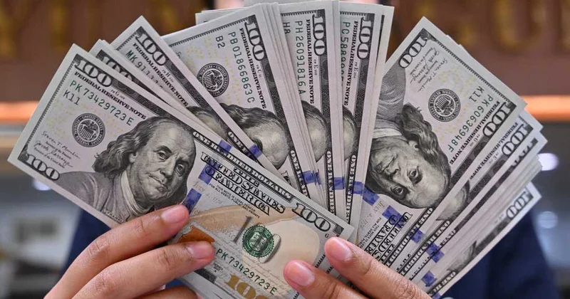 Dünyanın ən varlı ailələri dollardan imtina edir SƏBƏB