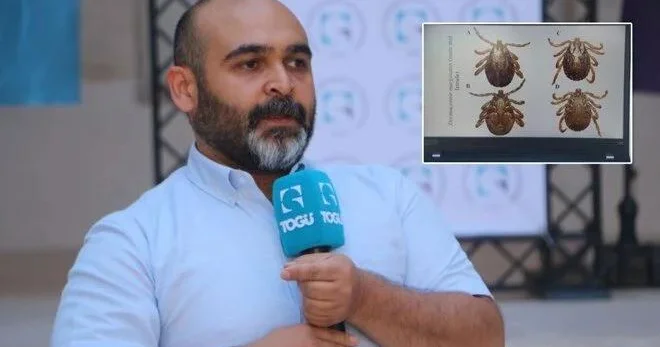 Mütəxəssis xəbərdarlıq etdi: Gənə görsəniz bunları etməyin!