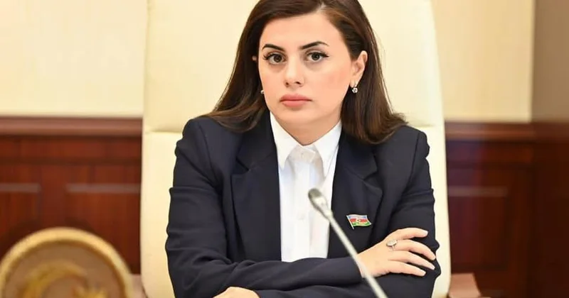 Rusiya tərəfi törədilən cinayətlərlə bağlı Azərbaycan xalqından üzr istəməlidir