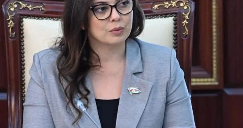 Rusiya hakimiyyətinin Azərbaycan dövlətindən və xalqından üzr istəməsini tələb edirik Səbinə Salmanova
