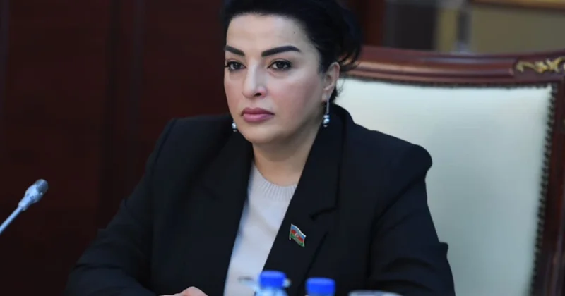 Rusiya həqiqətən özünü müttəfiq hesab edirsə... Deputatdan ÇAĞIRIŞ