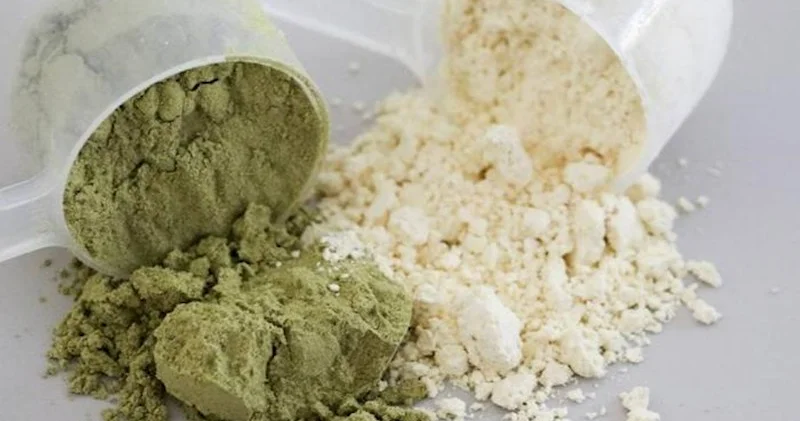 Protein tozlarının xərçəngə səbəb olduğu doğrudurmu?