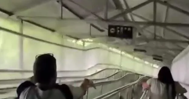 В Китае туристам предложили необычный способ спуска с горы ВИДЕО