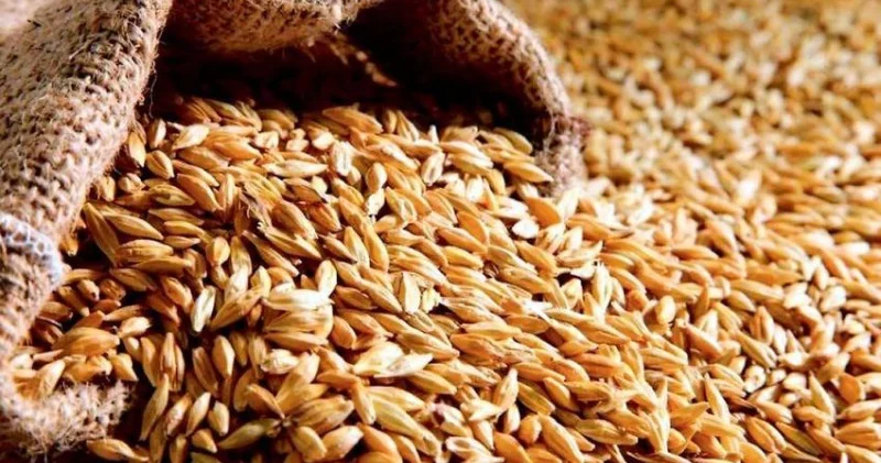Ərzaqlıq buğdanın yeni dövlət tədarük qiyməti müəyyən edildi