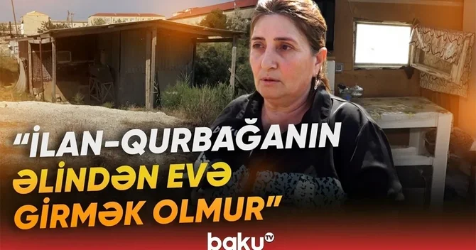 Məcburi köçkün ailəsi çətin vəziyyətdə: Evə ilan qurbağa girir